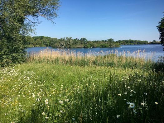 Artist led walk at Deeping Lakes with Emily Bowers