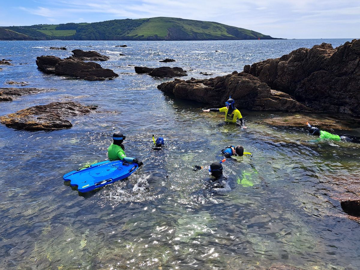 Snorkel Safari