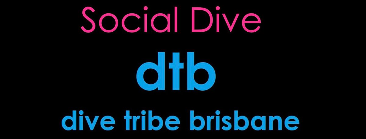 Dive Tribe Social NIGHT DIVE - 17th August 2024