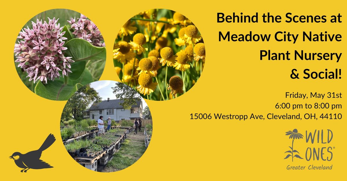  Behind the Scenes at Meadow City Native Plant Nursery and Social (Cuyahoga County)