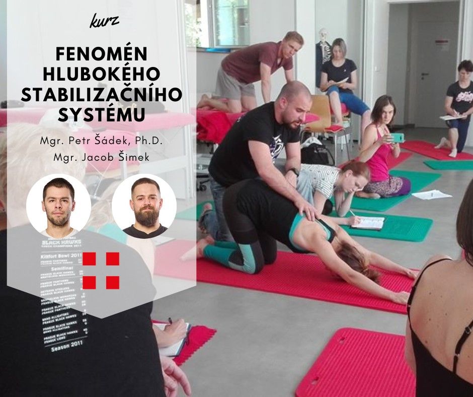 Fenom\u00e9n hlubok\u00e9ho stabiliza\u010dn\u00edho syst\u00e9mu v praxi fyzioterapeuta i tren\u00e9ra