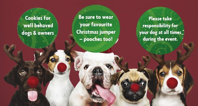 Dog Friendly Christmas Carol Service 2024