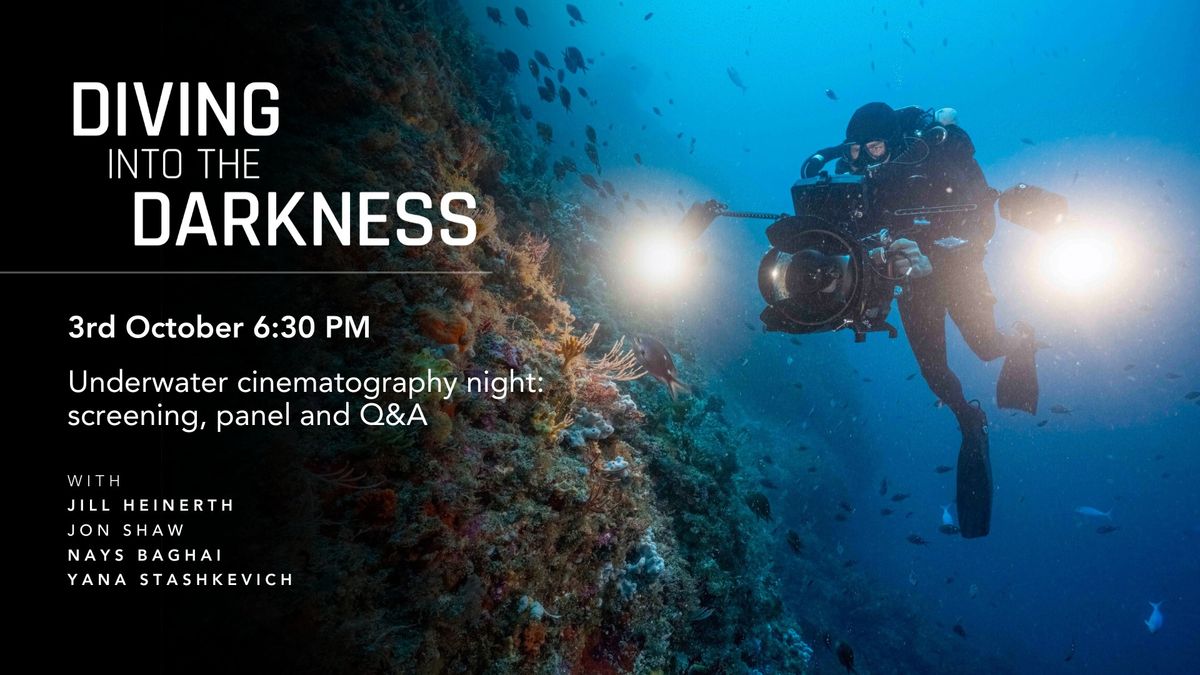 Diving Into The Darkness: Screening + Underwater Cinematography Secrets