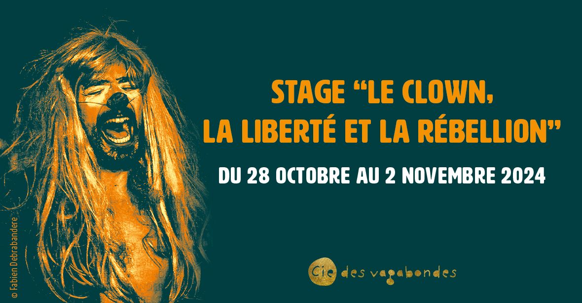 STAGE "Le clown, la libert\u00e9 et la r\u00e9bellion"