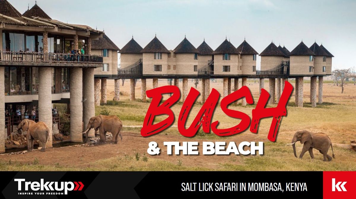 Bush & The Beach | Salt Lick Safari in Mombasa, Kenya