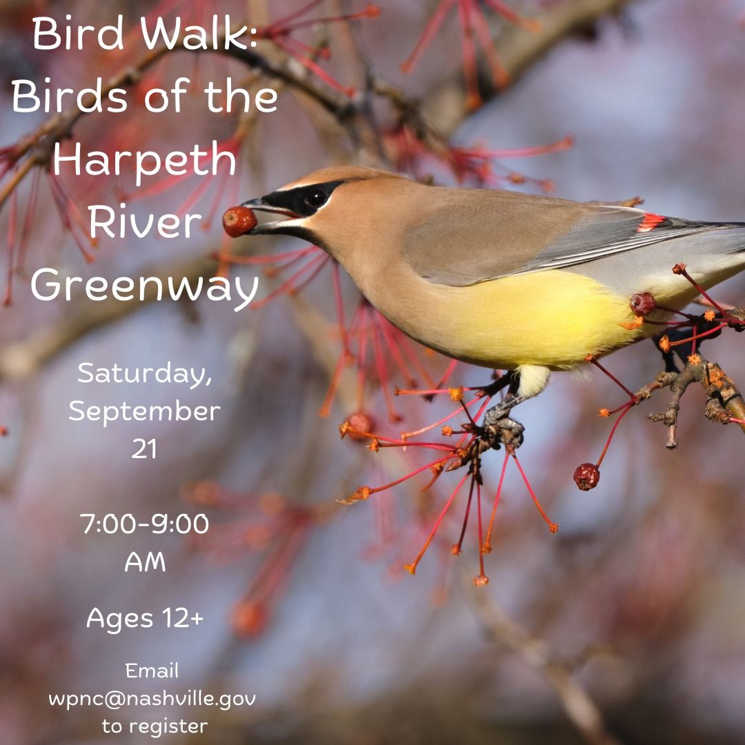 Bird Walk: Birds of the Harpeth River Greenway