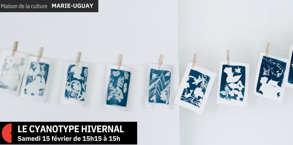 Atelier Carnet 03- Le cyanotype hivernal