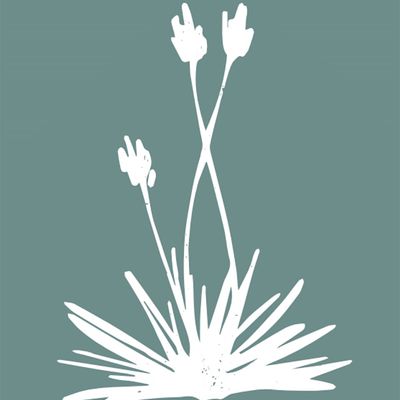 Agave of Sedona Wedding & Event Venue