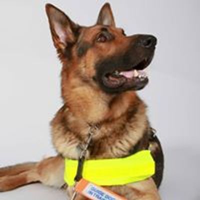 Guide Dogs for the Blind- Havant & Hayling Island supporter group