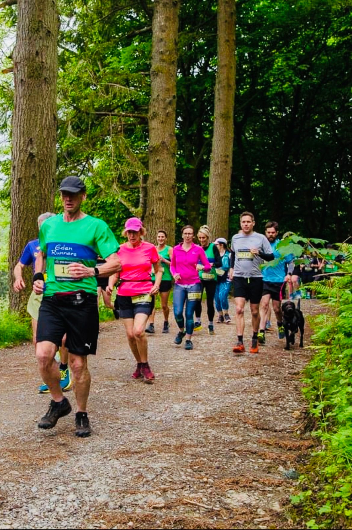 WILD DEER TRAIL RUNS @ CANNOCK CHASE