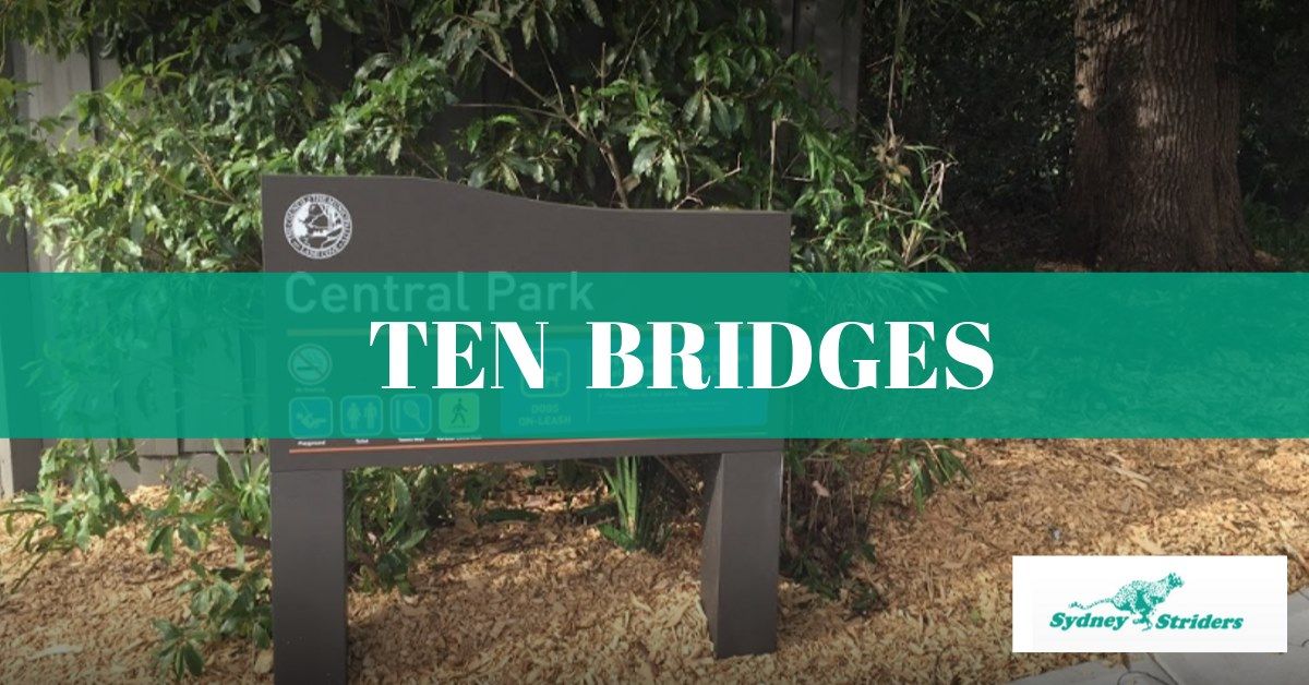 Ten Bridges STaR