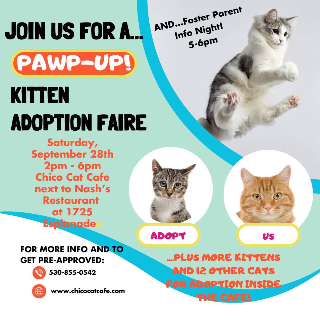 Pawp-Up Kitten Adoption Faire