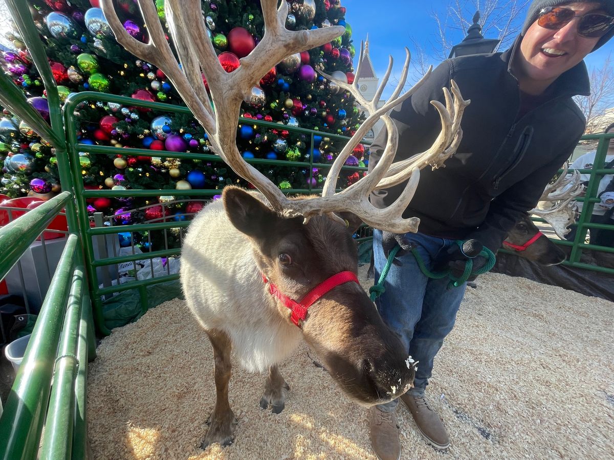 Corbin Maxey with Santa's Reindeer