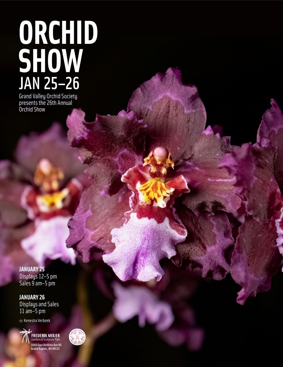 Orchid Show