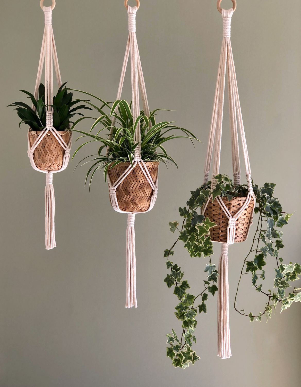 PLANT HANGER MACRAME