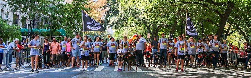 The 2024 German American Steuben Parade - DGNYC Marches 5th Ave