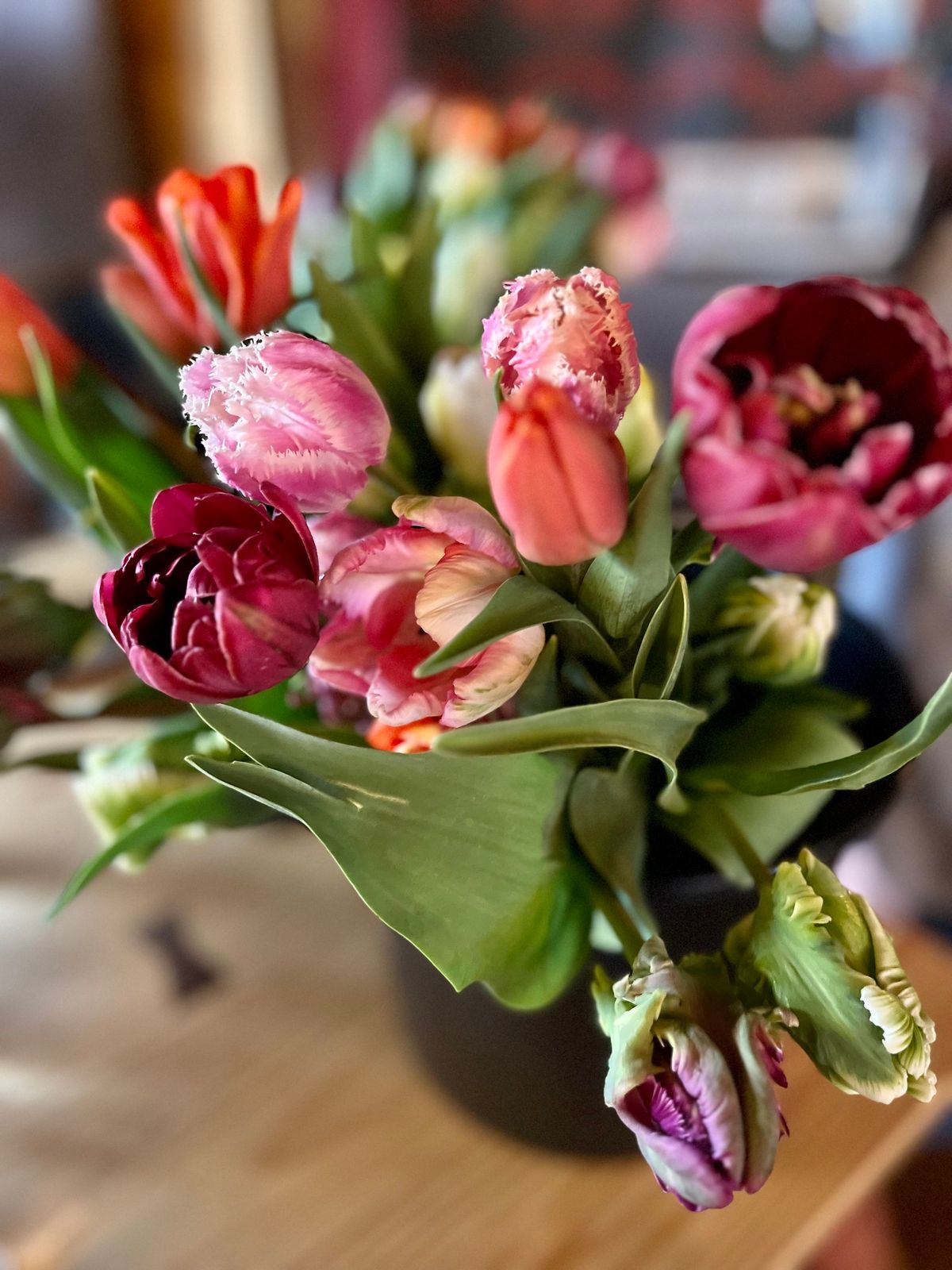 Tulip Time with Aromatic Acres