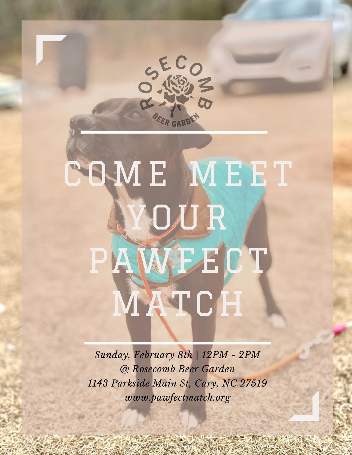 Pawfect Match Meet & Greet 