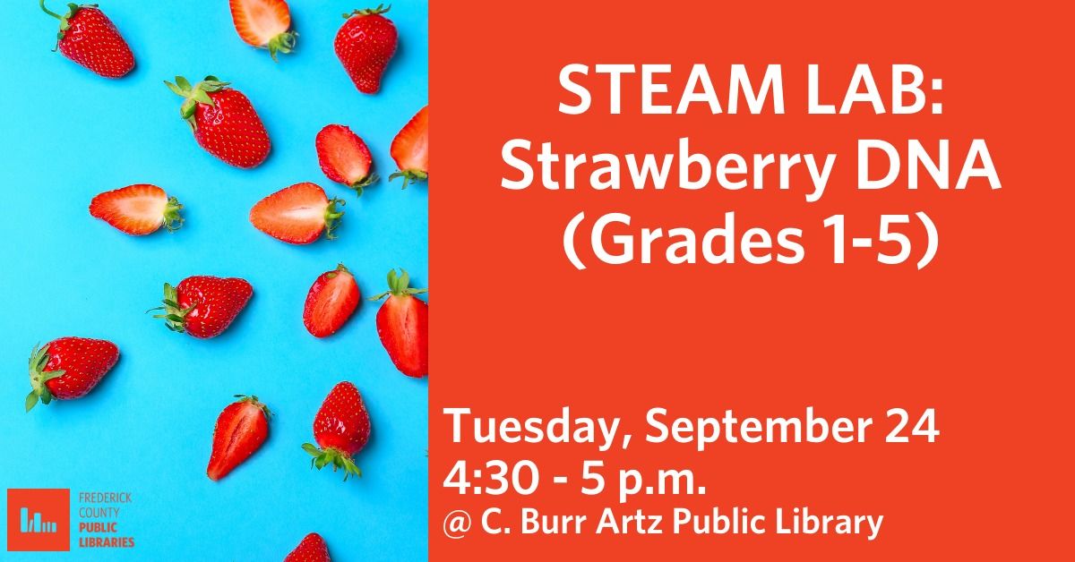 STEAM Lab: Strawberry DNA