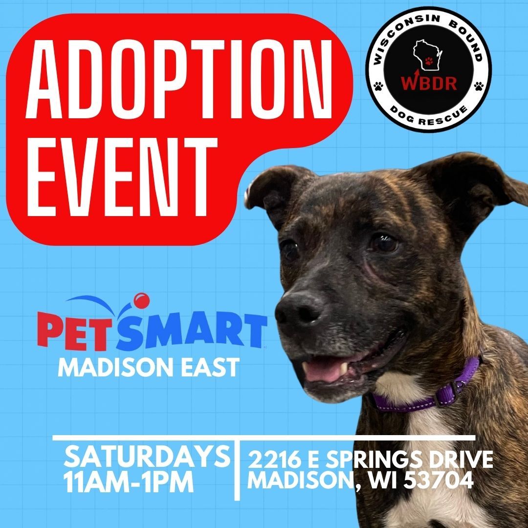 PetSmart Madison East