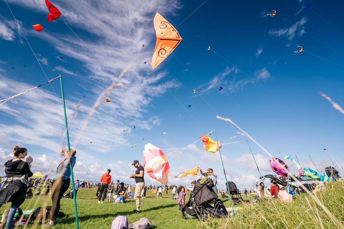 Puketāpapa Manu Aute Kite Day 2024, Pukewīwī / Puketāpapa / Mt Roskill ...