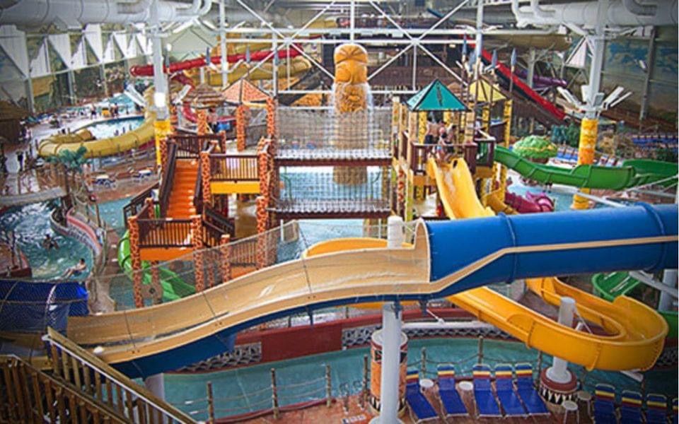 Rushwood "Knight" at Kalahari