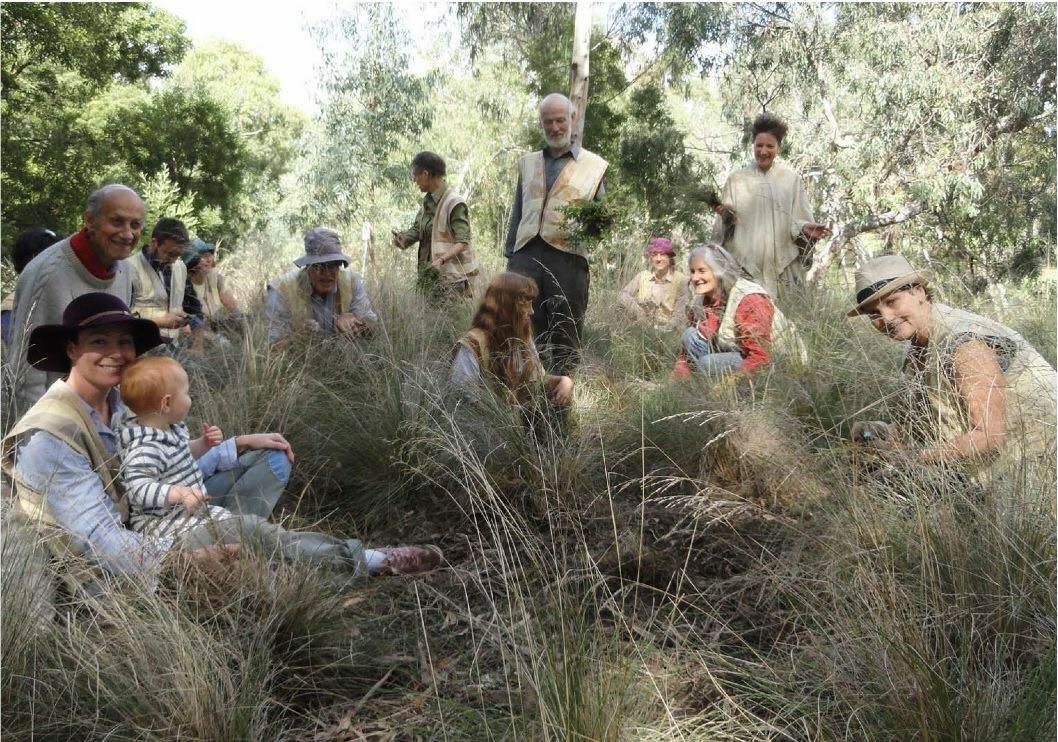 Friends of Merri Creek: Merri Paddle Platy Project Dusk Walk at Dights Falls