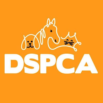 DSPCA Dog Training