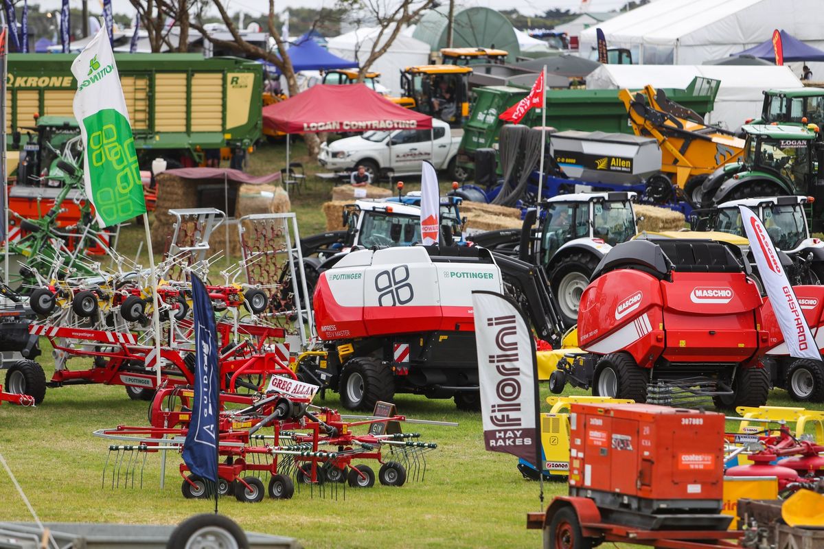 Koroit Field Day