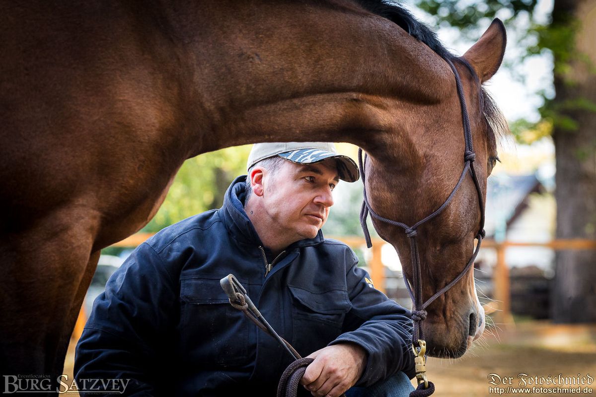 Horsemanship mit Sven Kipp - Trust4Horses