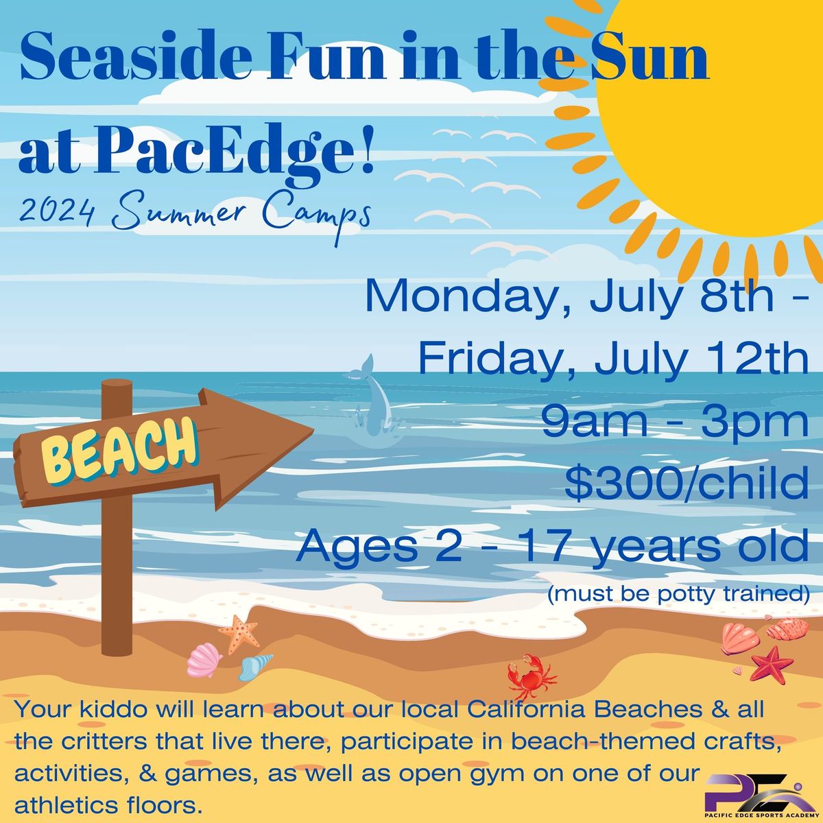 Seaside Fun in the Sun Summer Camp!