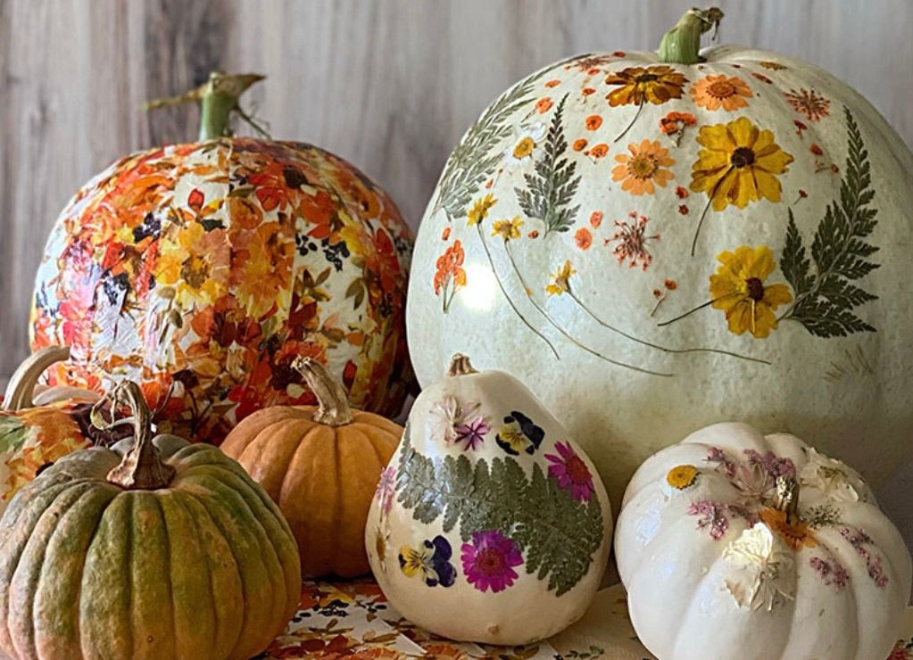 Dried Floral Decoupage Pumpkin Workshop  