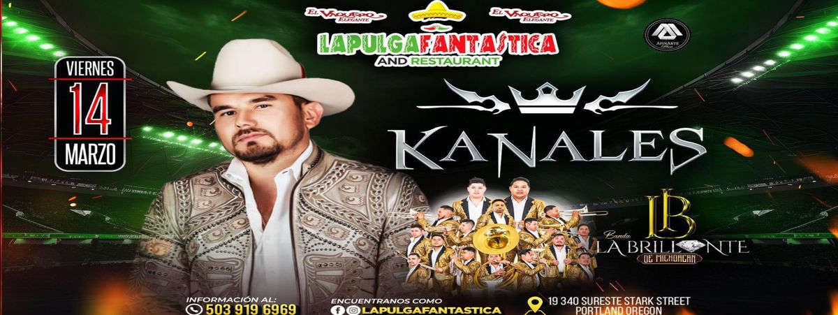 KANALES Y BANDA BRILLANTE EN LA PULGA FANTASTICA