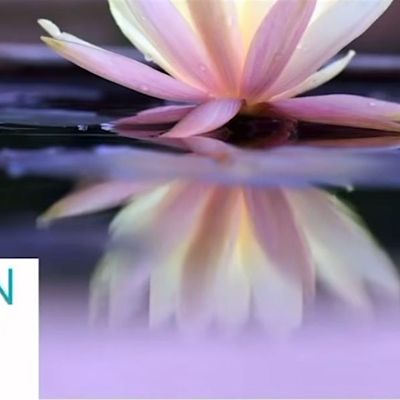 Heaven And Earth Oasis - Non-Profit 501(c)(3)