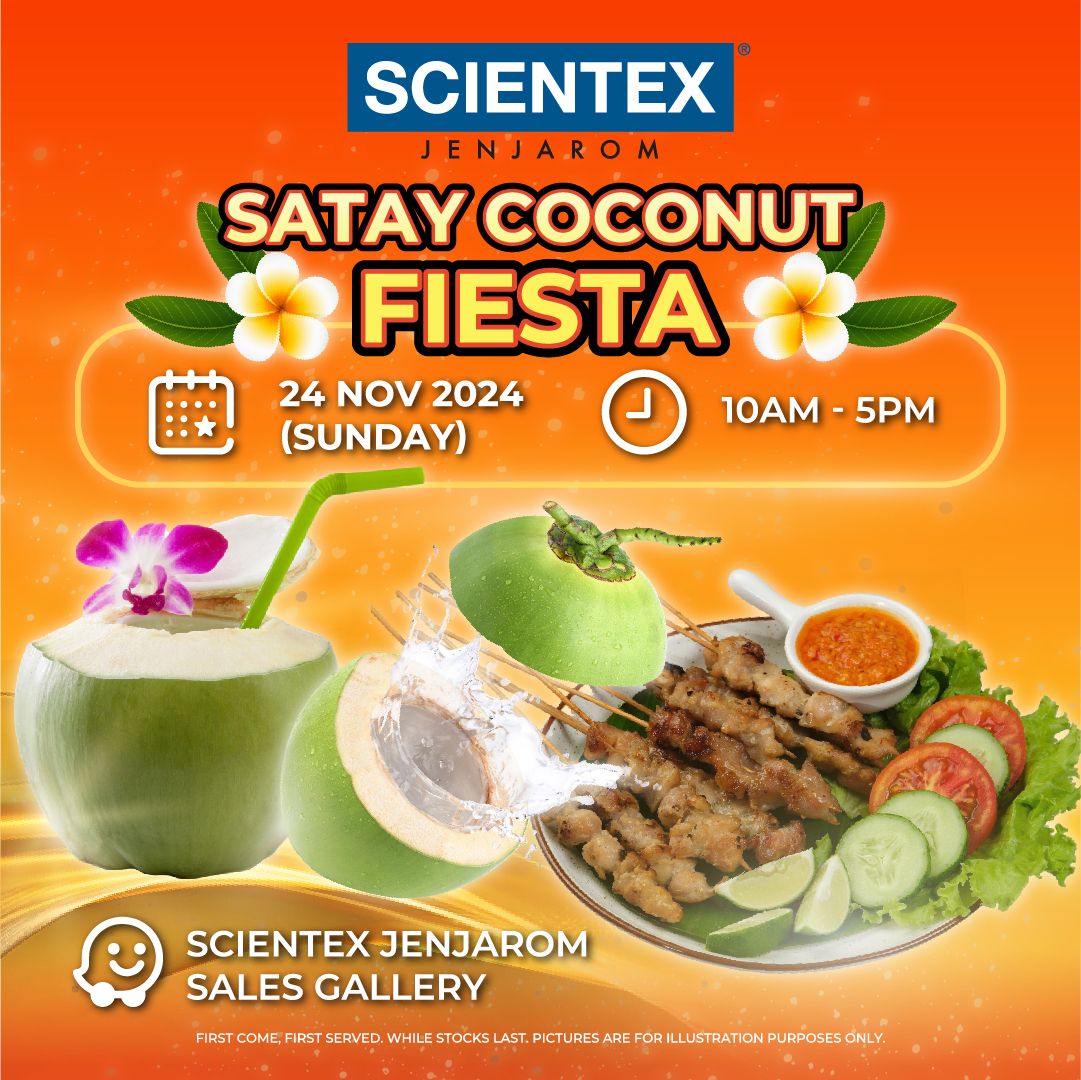 Satay Coconut Fiesta