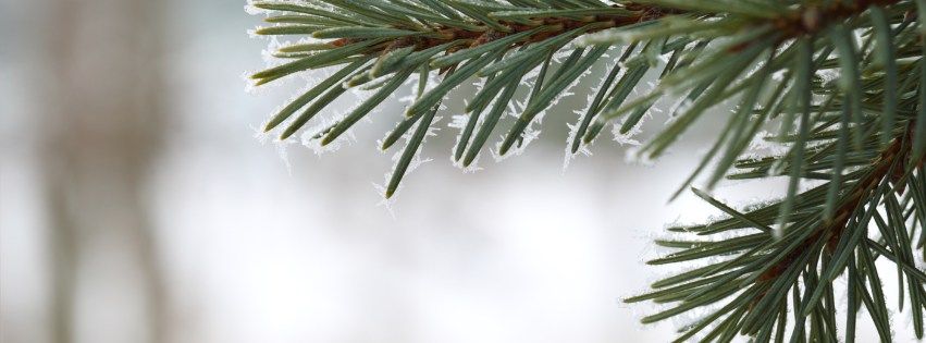 Winter Yoga