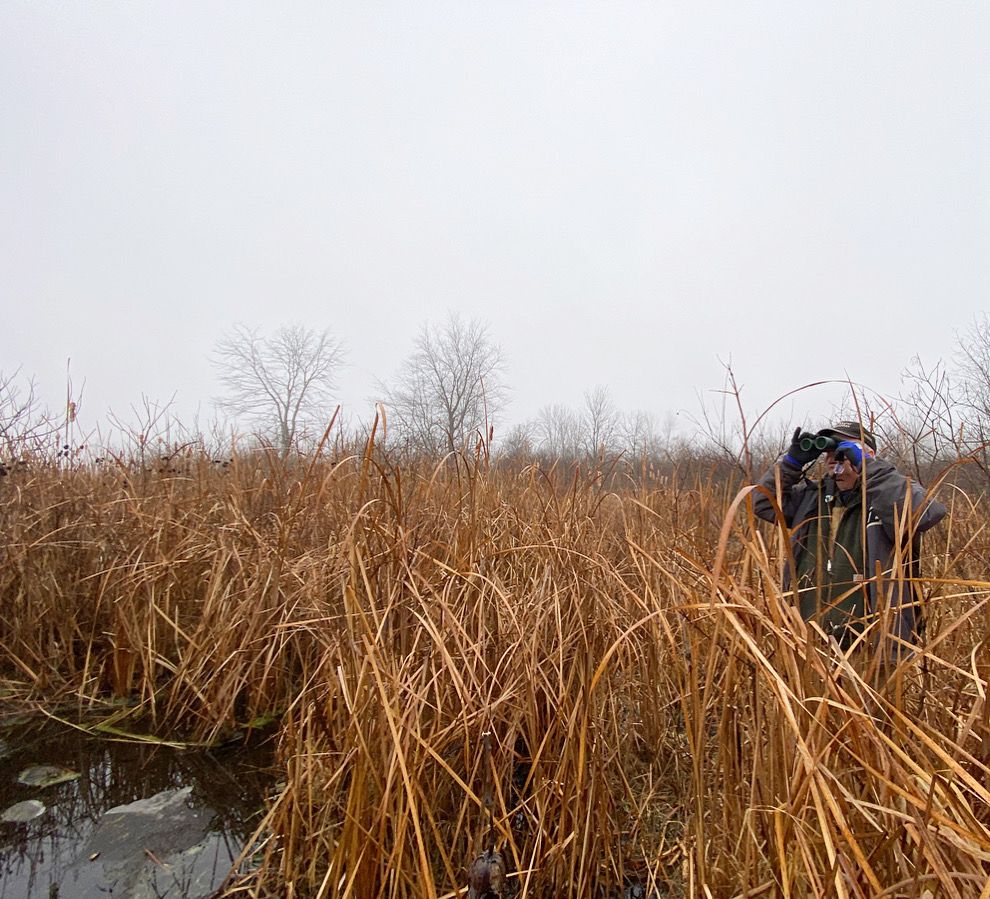 Christmas Bird Count in Kosciusko County