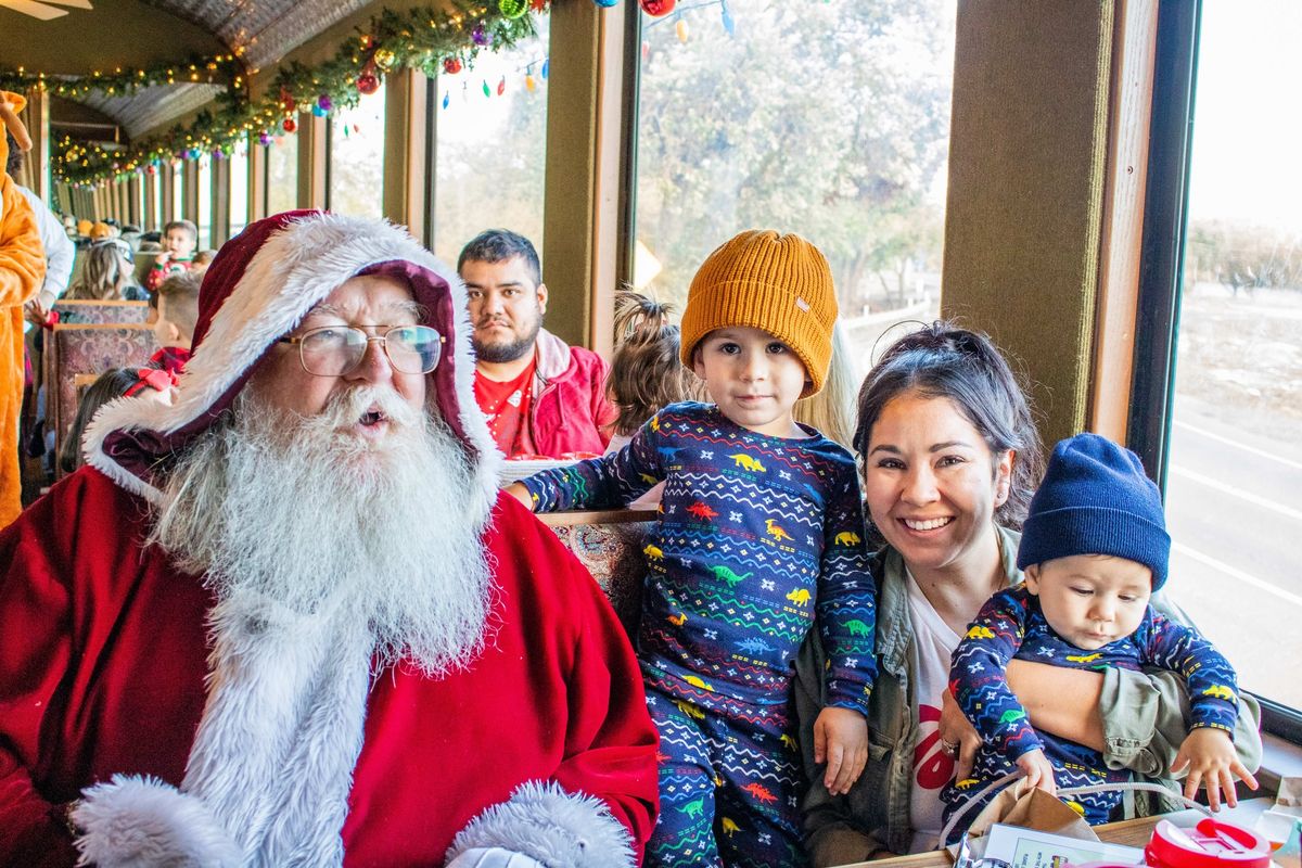 Magical Christmas Train 