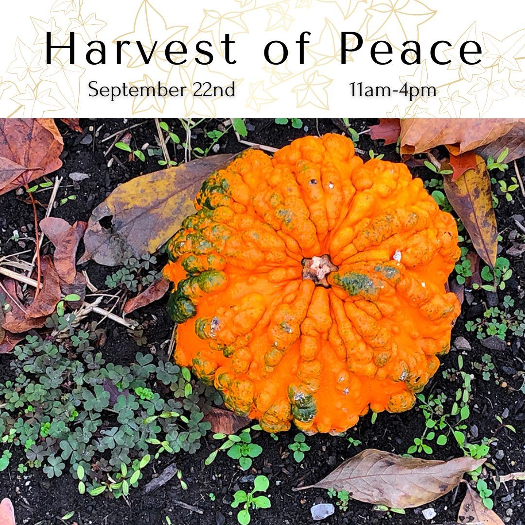 Harvest of Peace