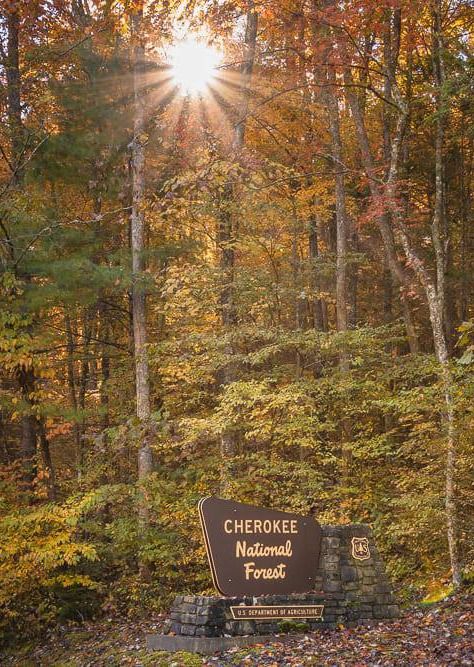 HBG Program - An Introduction to Friends of Cherokee National Forest