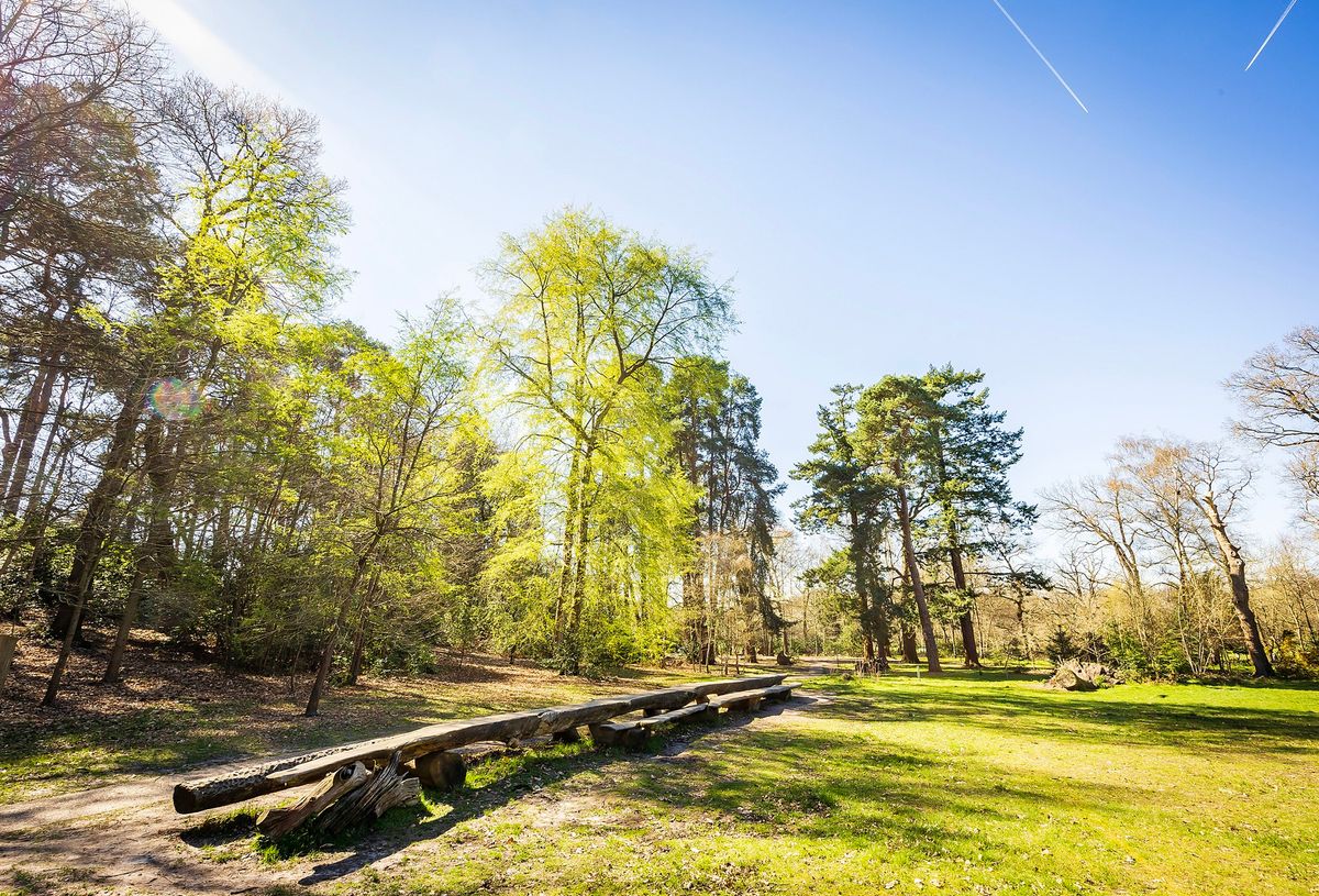 Walk for Wellbeing - Bulbrook: Lily Hill Park and The Chestnuts