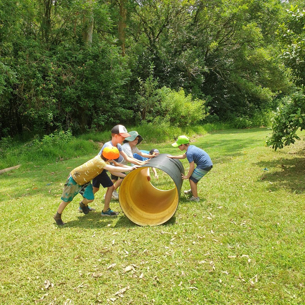 Wild Ones January School Holiday Program