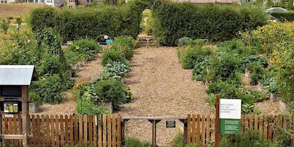 "Beat the Heat" Gardening Class