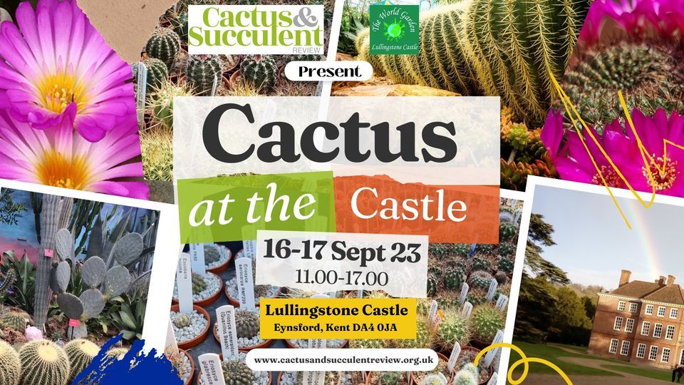Cactus at the Castle 