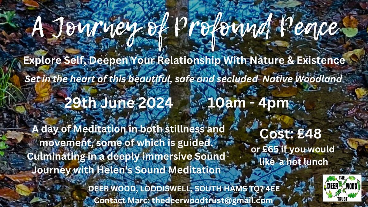  MEDITATION & SOUND DAY IMMERSION -A Journey of Profound Peace