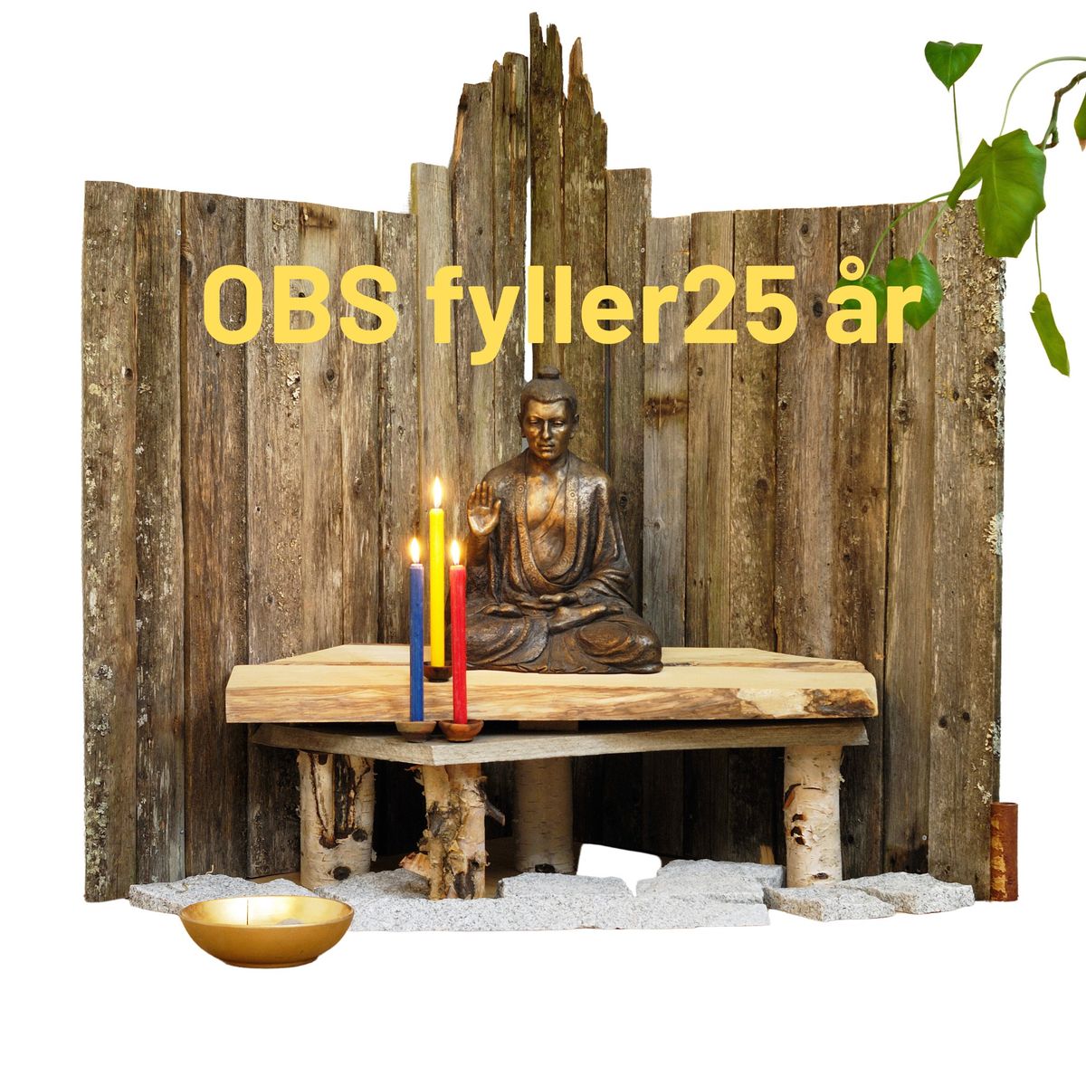 Feiring av Oslo Buddhistsenter 25 \u00e5r