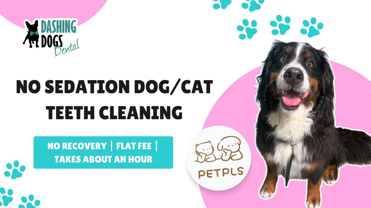 Pet Teeth Cleaning Event - Richmond