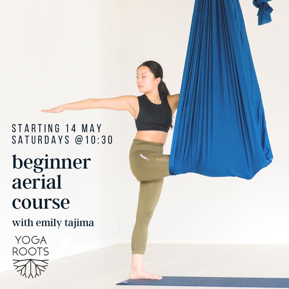 Basic Aerial Course Beginner Aerial course, Yoga Roots MalmΓΆ, 14 May 2022
