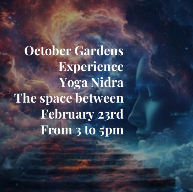 Experience Yoga Nidra 