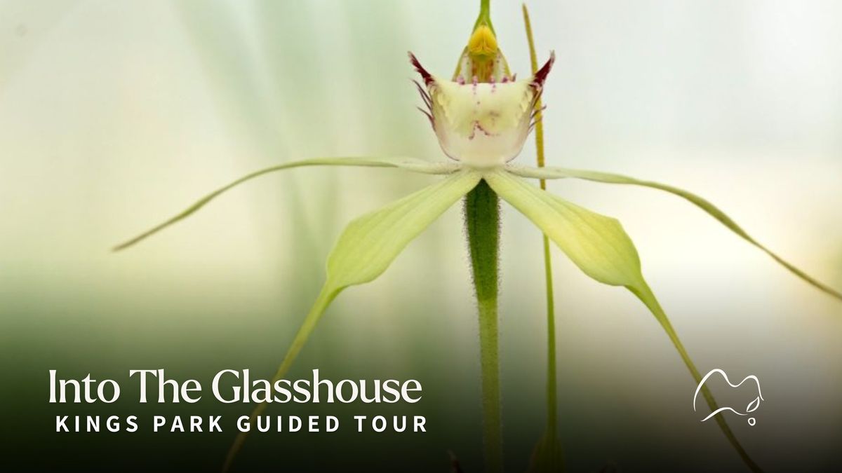 Hidden Secrets of Kings Park | Into the Glasshouse